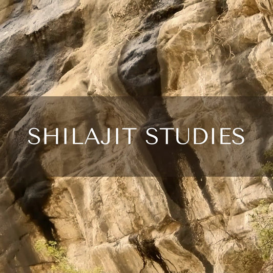 Shilajit Studies