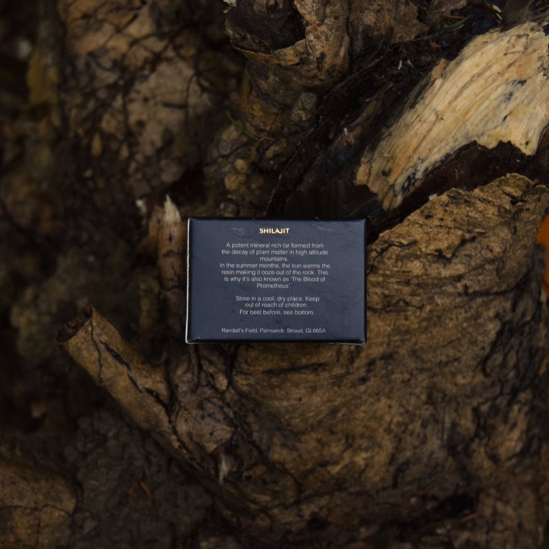 Shilajit Resin