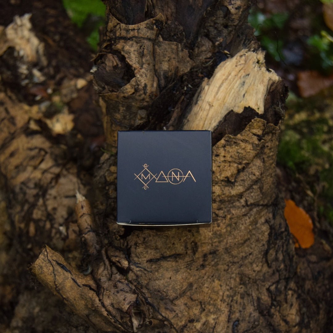 Shilajit Resin