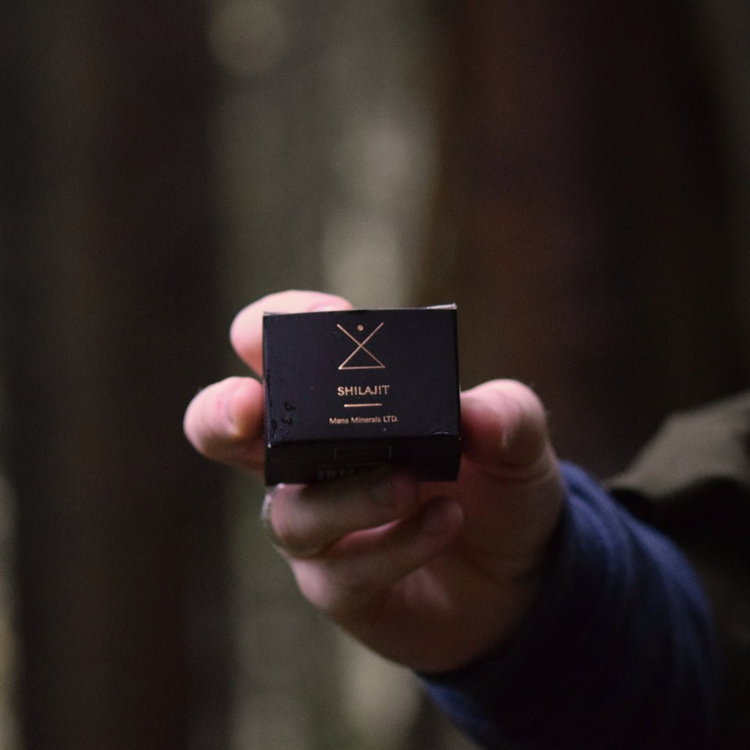 Shilajit Resin