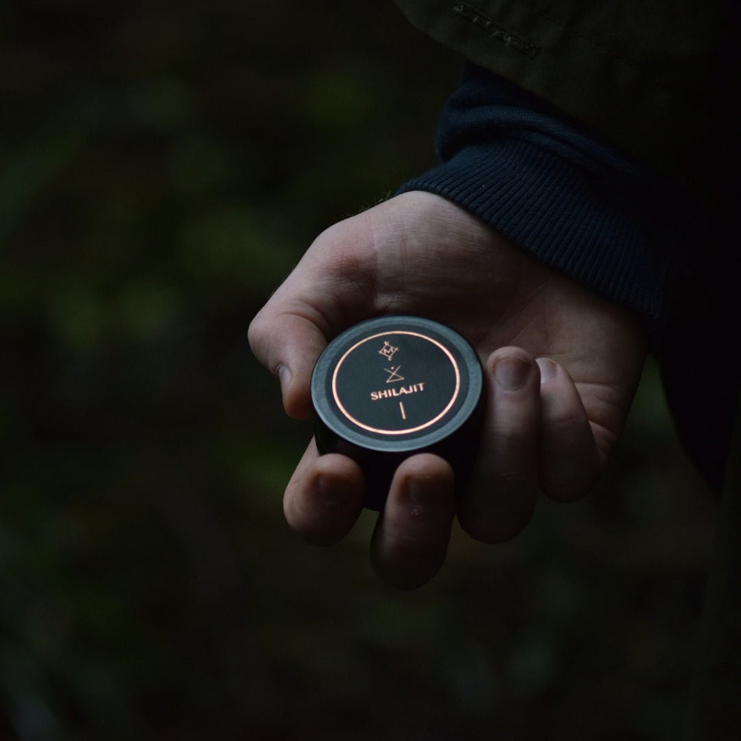 Shilajit Resin